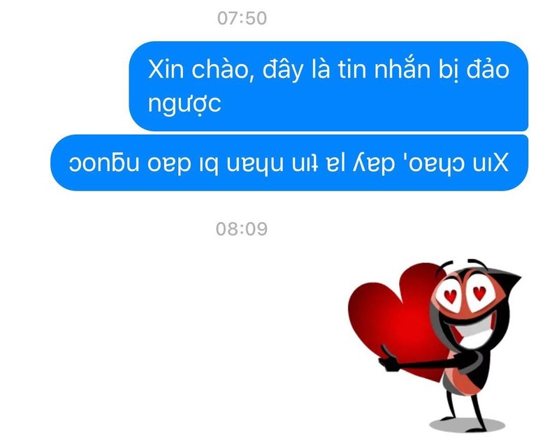 Những thắc mắc của người dùng về chữ ngược